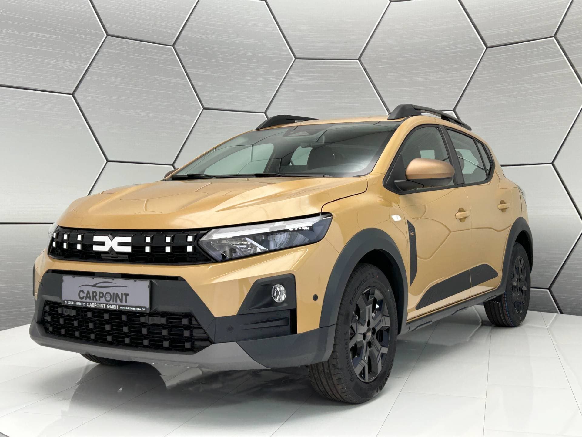 Dacia Sandero Stepway Extreme Eco-G 120 Winter Paket Navi 360°