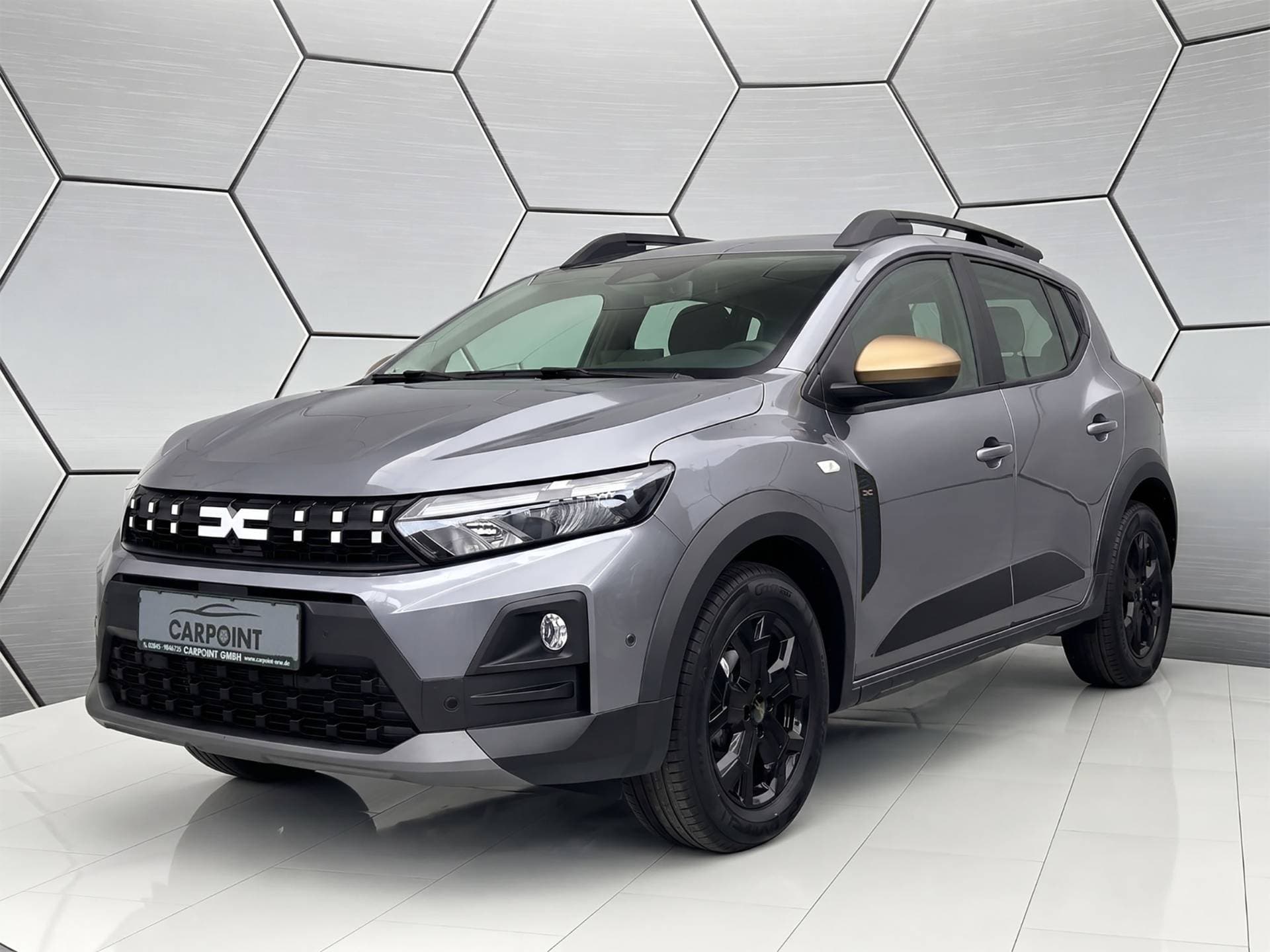 Dacia Sandero Stepway Extreme Eco-G 120 auto Winter/ Technik-Paket